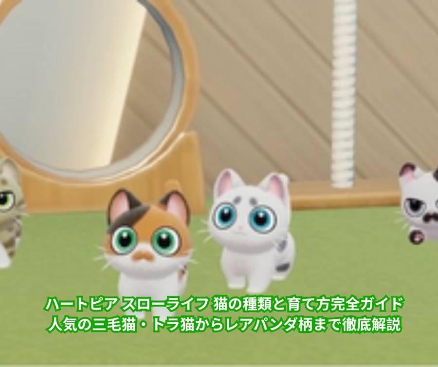 ハートピア スローライフ 猫の種類と育て方完全ガイド｜人気の三毛猫・トラ猫からレアパンダ柄まで徹底解説